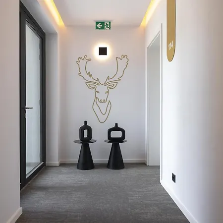 Hotel Cesky Les