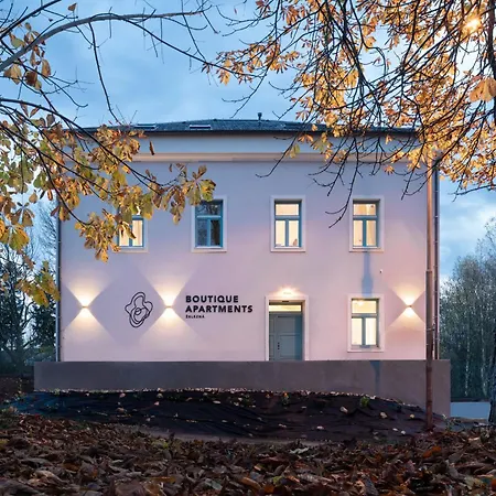 Cesky Les Hotel 4*
